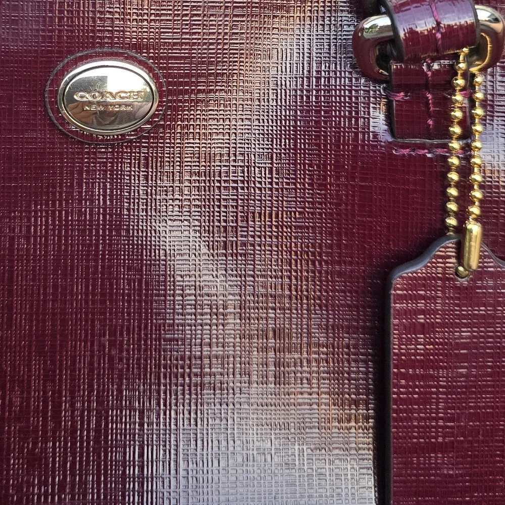 COACH F32829 Peyton Leather Mini Carryall Satchel